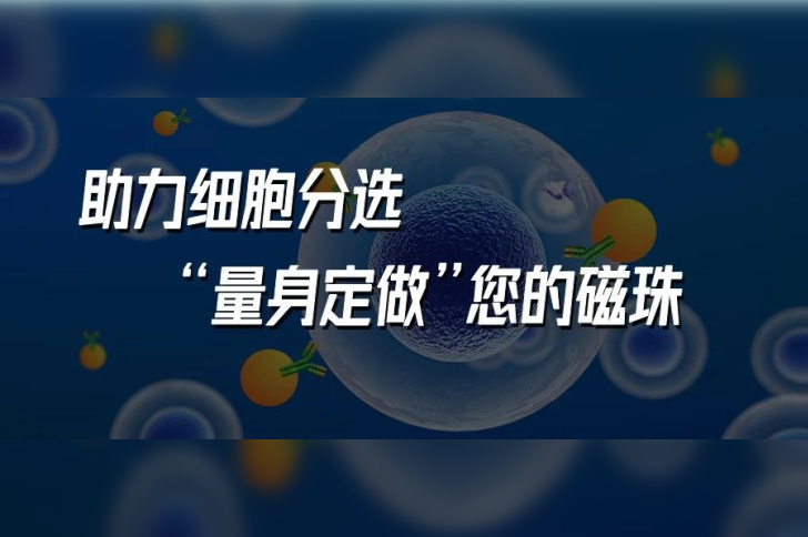 助力细胞分选，“量身定做”您的磁珠