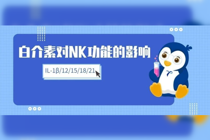 白介素对NK细胞功能的影响（IL-1β、IL-12、IL-15...）