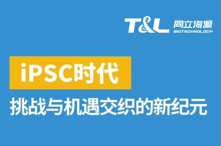 iPSC：挑战与机遇交织的新纪元