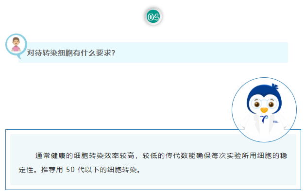 对待转染细胞有什么要求？通常健康的细胞转染效率较高，较低的传代数能确保每次实验所用细胞的稳定性。推荐用 50 代以下的细胞转染。