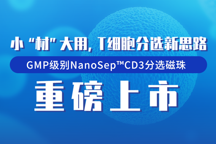 GMP级别CD3分选磁珠重磅上市！