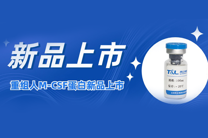 M-CSF | 让您的巨噬细胞更强大！