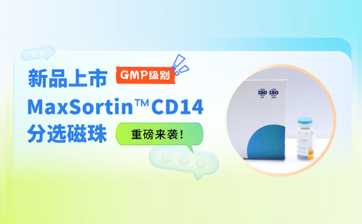 新品上市 | GMP级别MaxSortin™CD14分选磁珠重磅来袭！