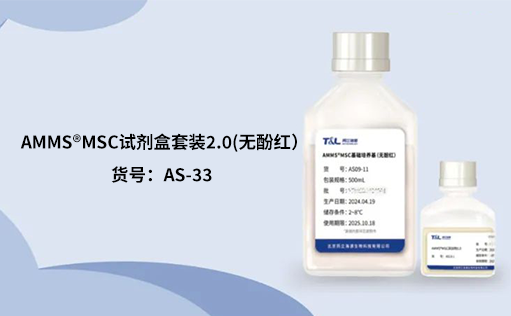 人间充质干细胞培养：挑战与应对之策
