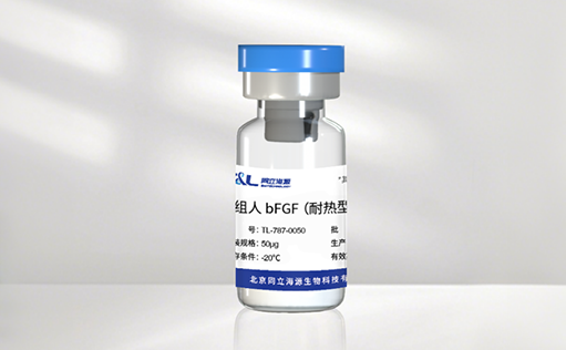 高温环境下的修复王者! ag尊龙z6mg新一代耐热型 bFGF 蛋白正式发布
