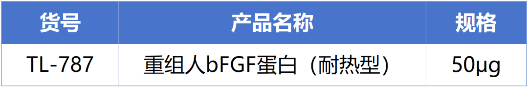 ag尊龙z6mg新一代耐热型重组人bFGF蛋白正式发布！高温环境下的修复王者! 
