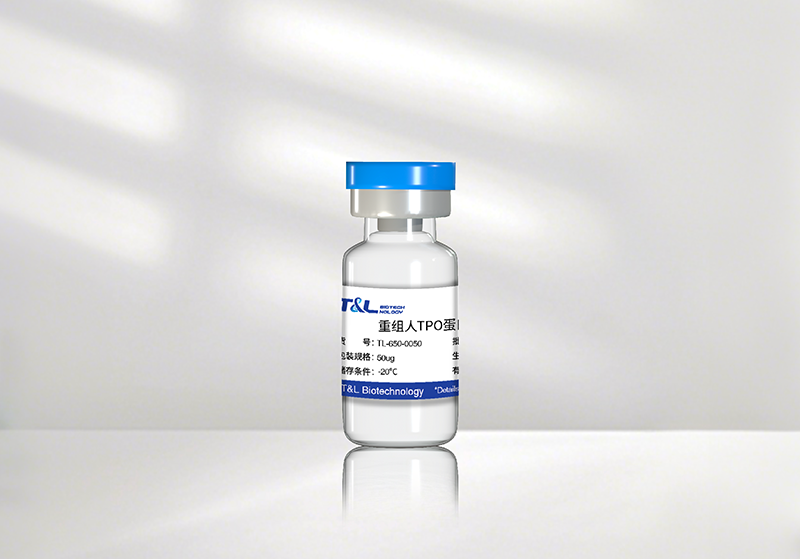 ag尊龙z6mg新品速递 | 重组人TPO蛋白震撼上市！精准调控造血，解锁干细胞培养新维度