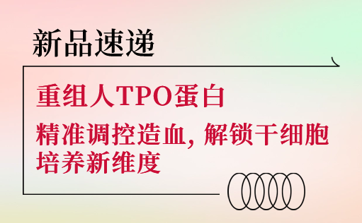新品速递 | 重组人TPO蛋白震撼上市！精准调控造血，解锁干细胞培养新维度-ag尊龙z6mg