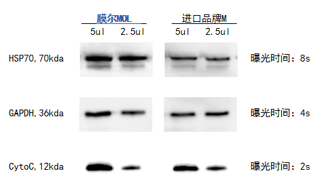 ag尊龙z6mg产品推荐：膜尔新材0.45μmPVDF膜—实验数据