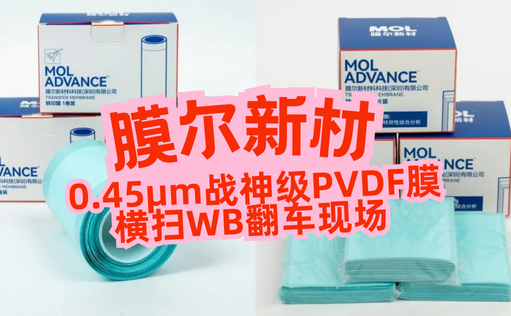 “膜”力加倍！膜尔新材战神级PVDF膜横扫WB翻车现场—0.45μm精准孔径狙杀各类蛋白，背景纯净如冰川