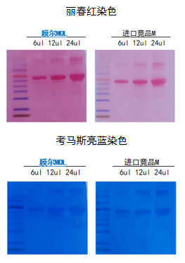ag尊龙z6mg产品推荐：膜尔新材0.45μmPVDF膜—实验数据